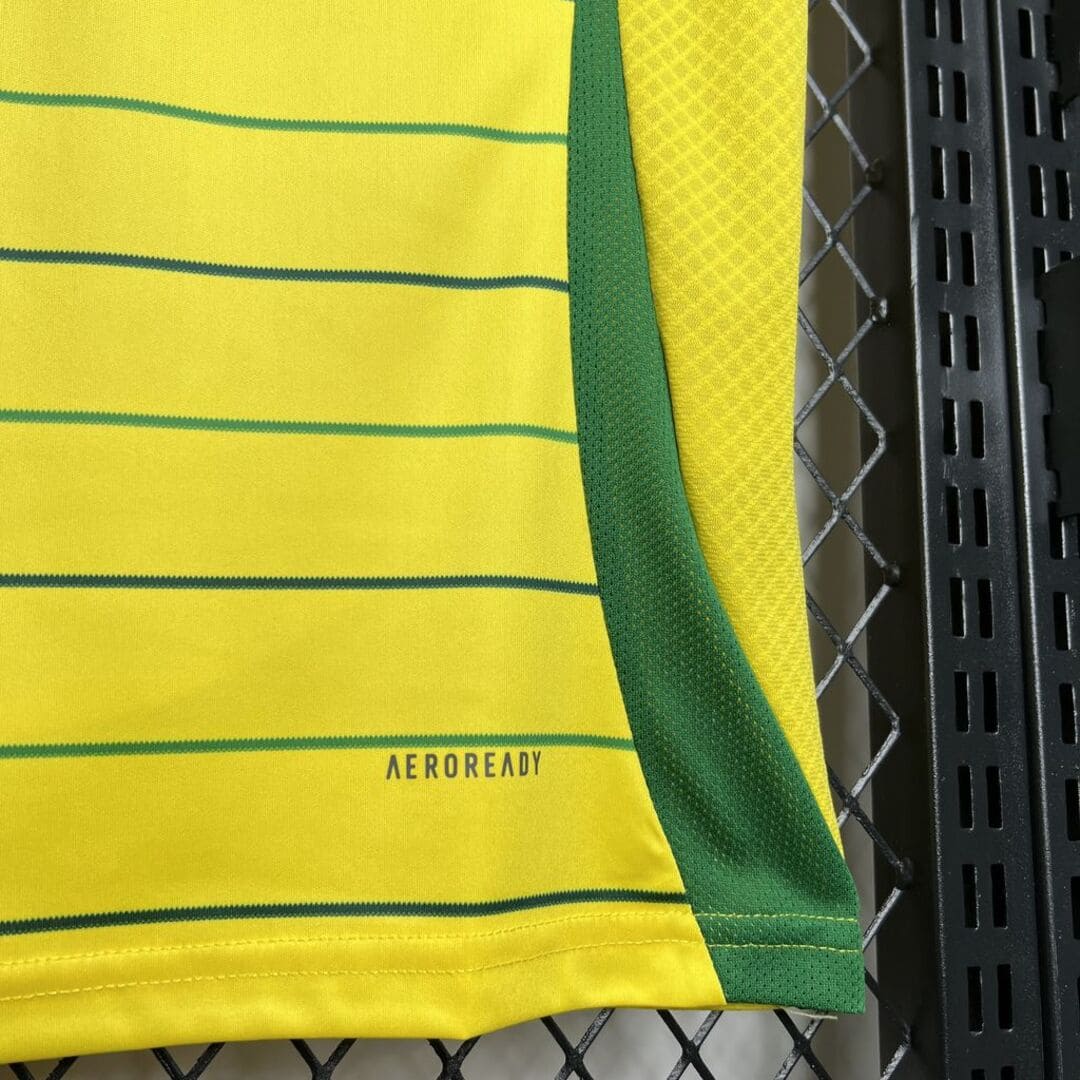 Celtic Glasgow 24/25 Maillot Extérieur