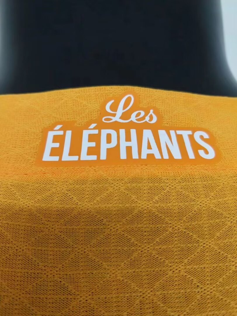 Côte d'Ivoire 2022 Maillot Domicile - Version Player