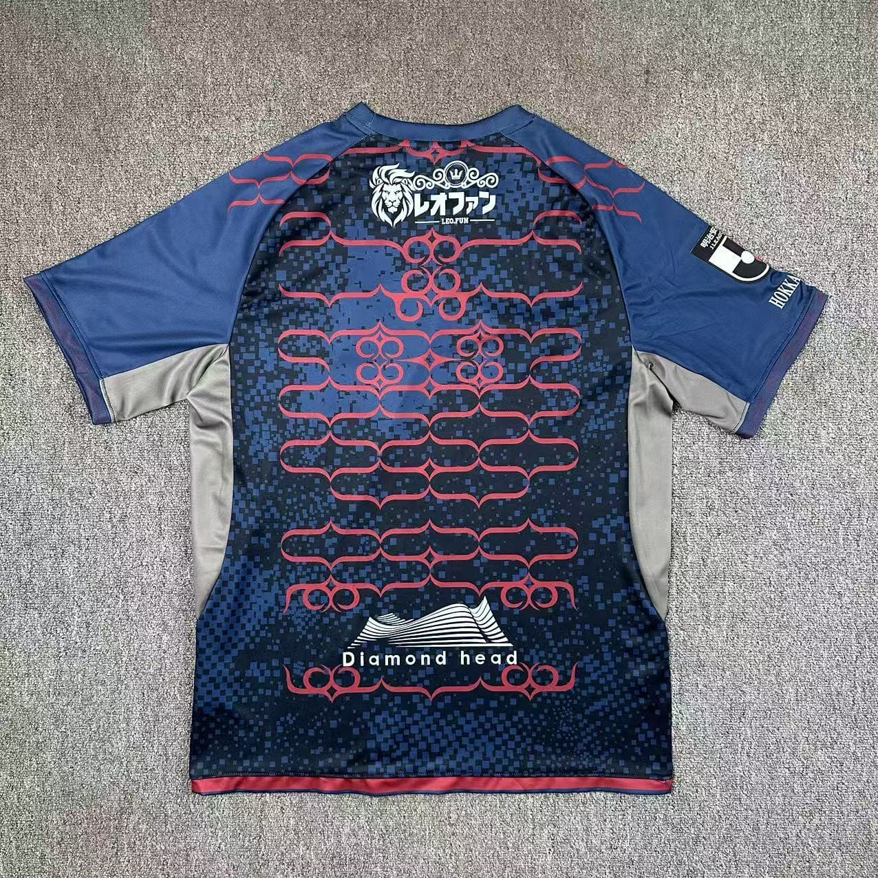 Hokkaido Consadole Sapporo 2025 Maillot Extérieur
