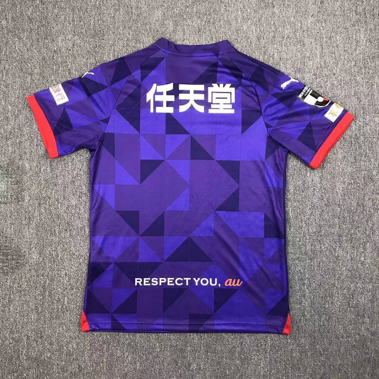 Kyoto Sanga 2024 Maillot Domicile