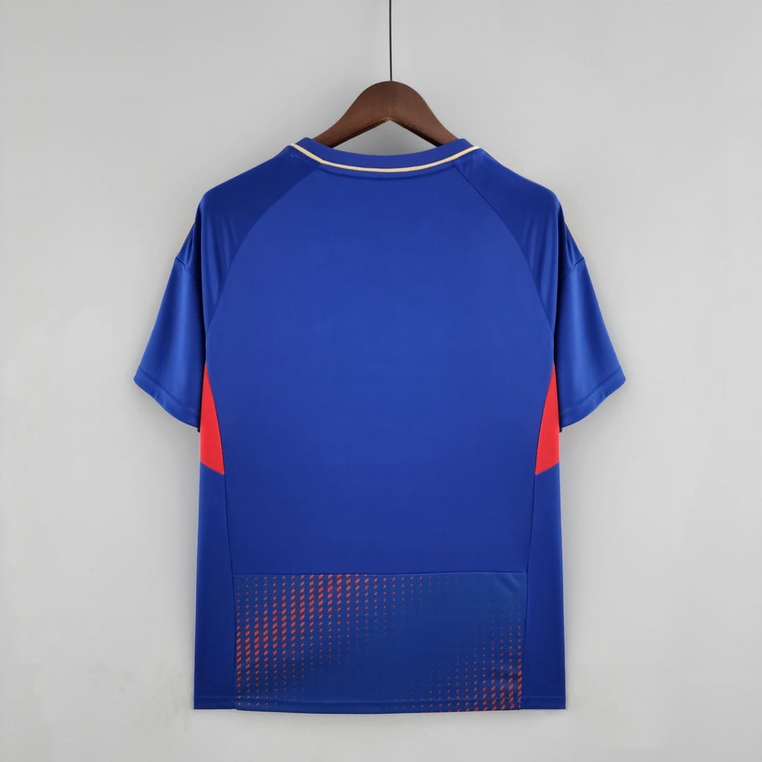 Lyon 22/23 Maillot Fourth "Lyonnais"
