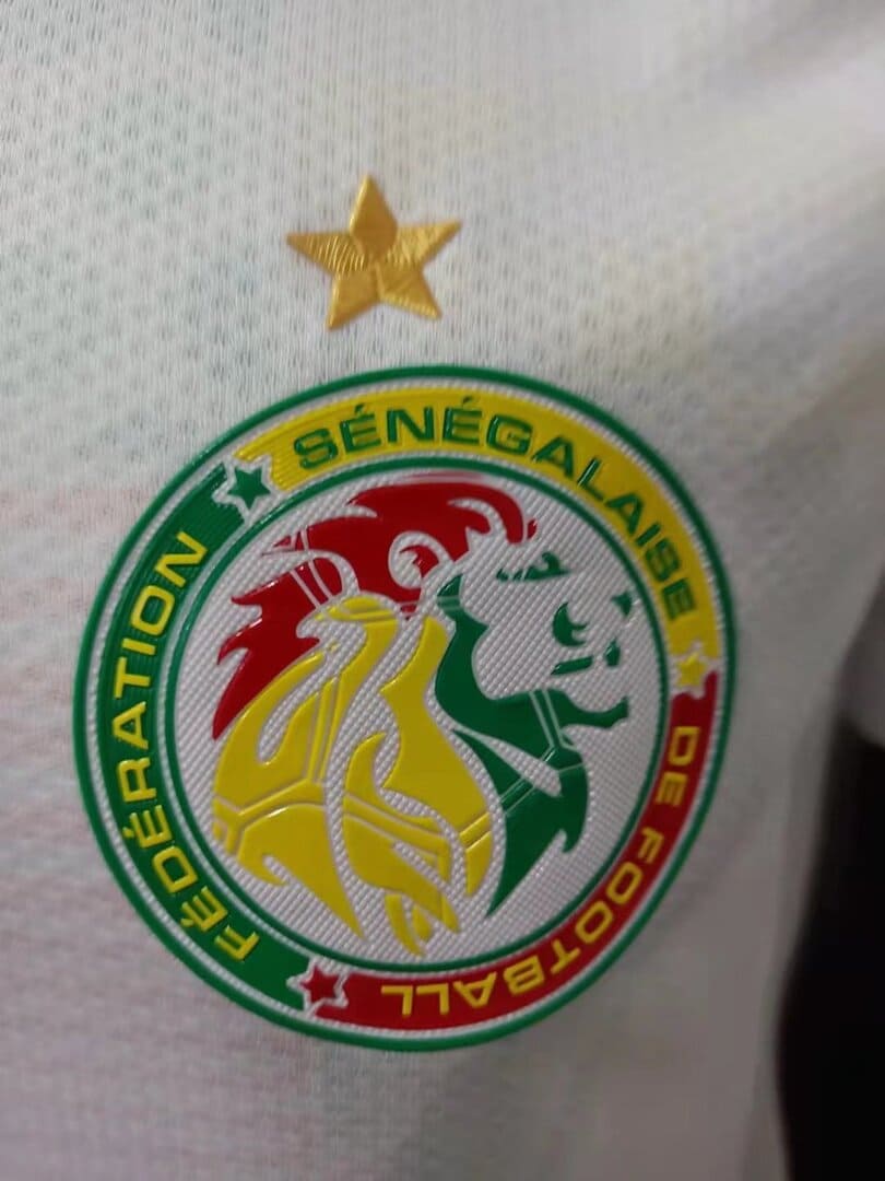 Sénégal 2020 Maillot Domicile - Version Player
