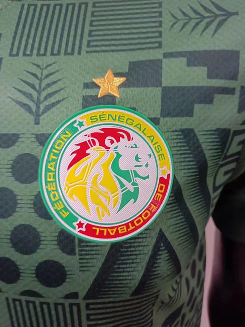Sénégal 2020 Maillot Extérieur - Version Player