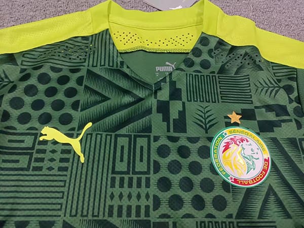 Sénégal 2020 Maillot Extérieur - Version Player