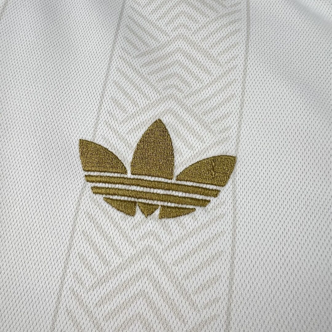 Afrique du Sud 2026 Maillot Spécial