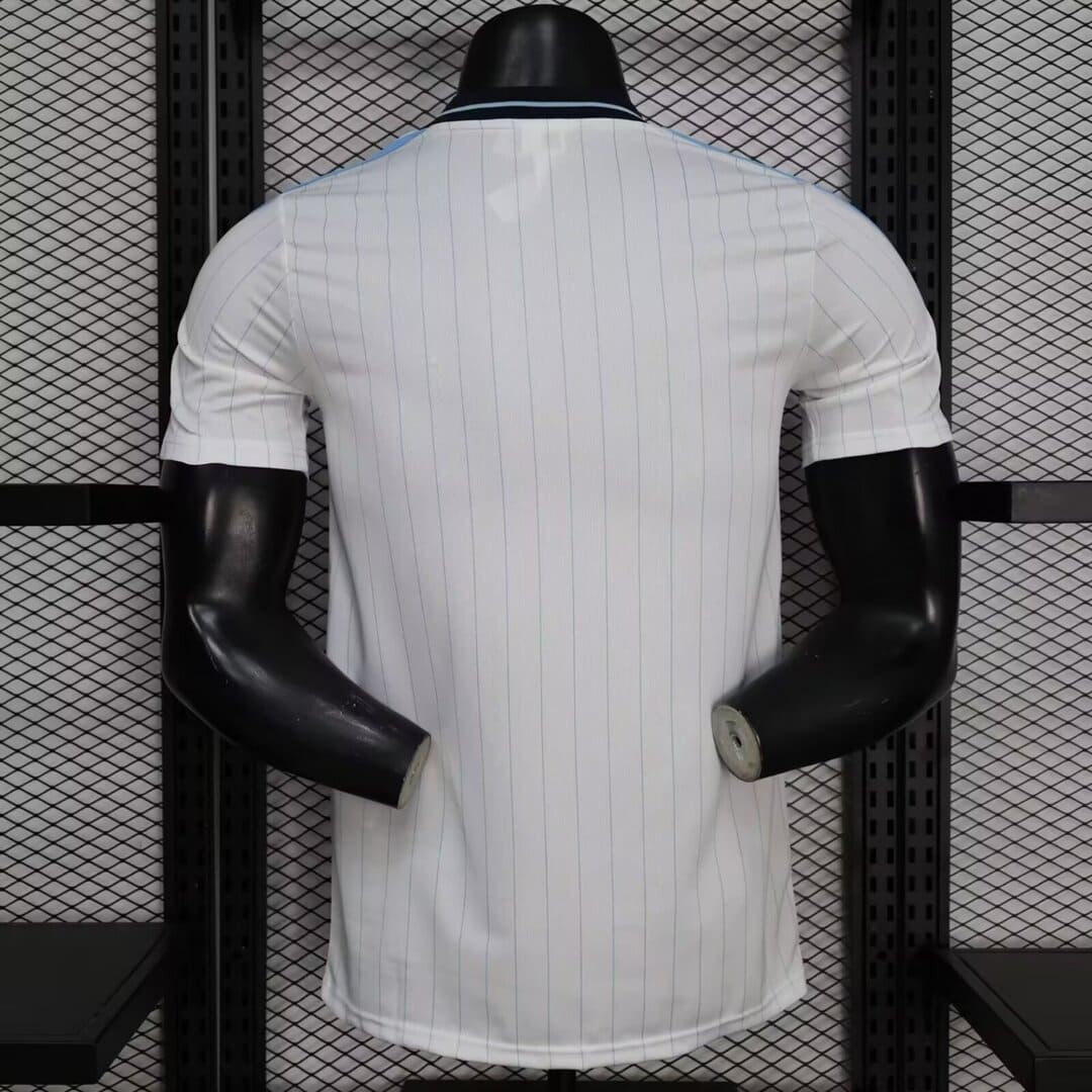 Argentine 2026 Maillot Icon - Version Player