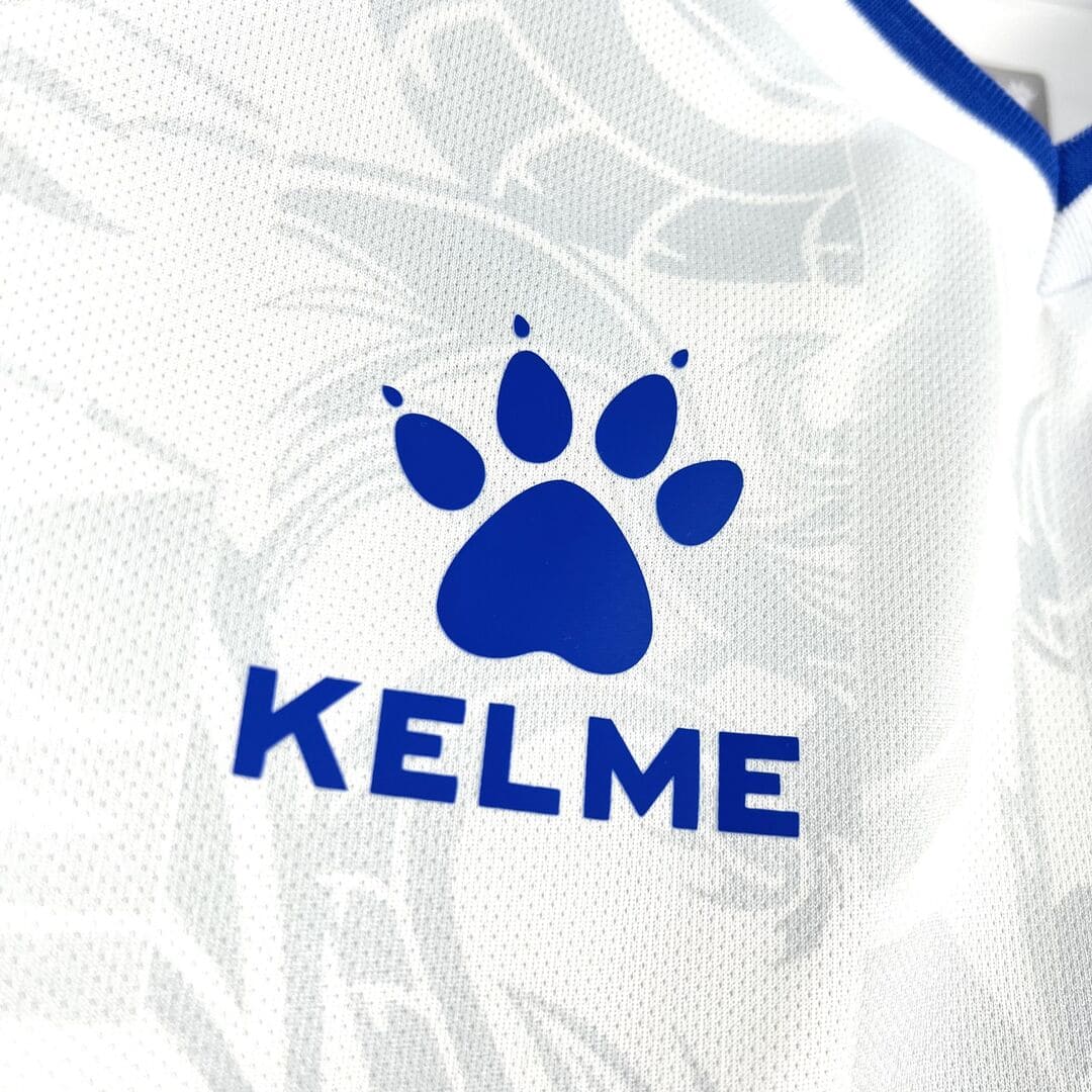 Bosnie 2026 Maillot Domicile