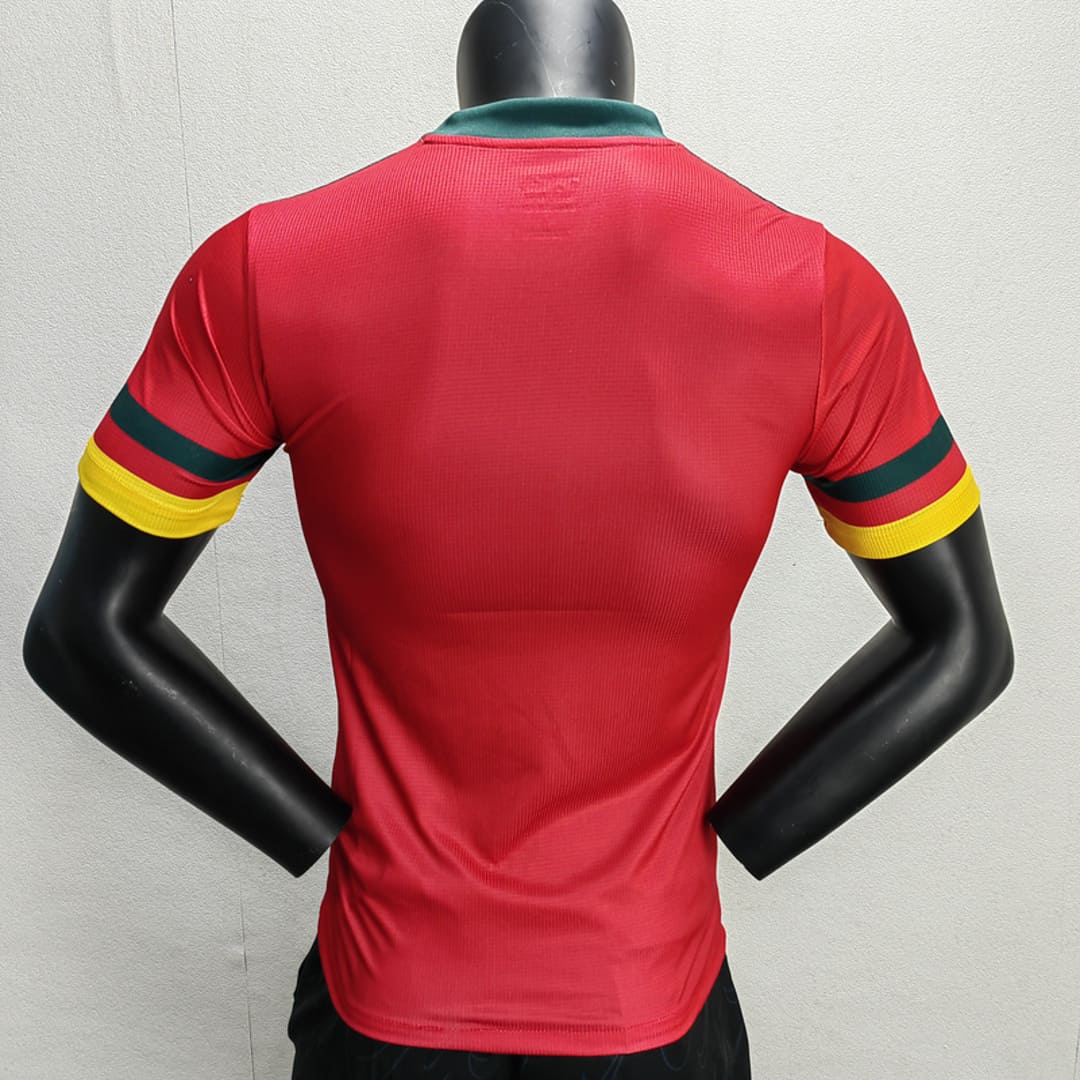 Cameroun 2022 Maillot Third - Version Player