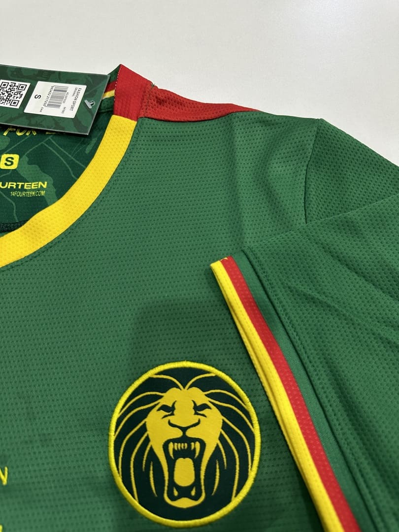 Cameroun 2025 Maillot Domicile