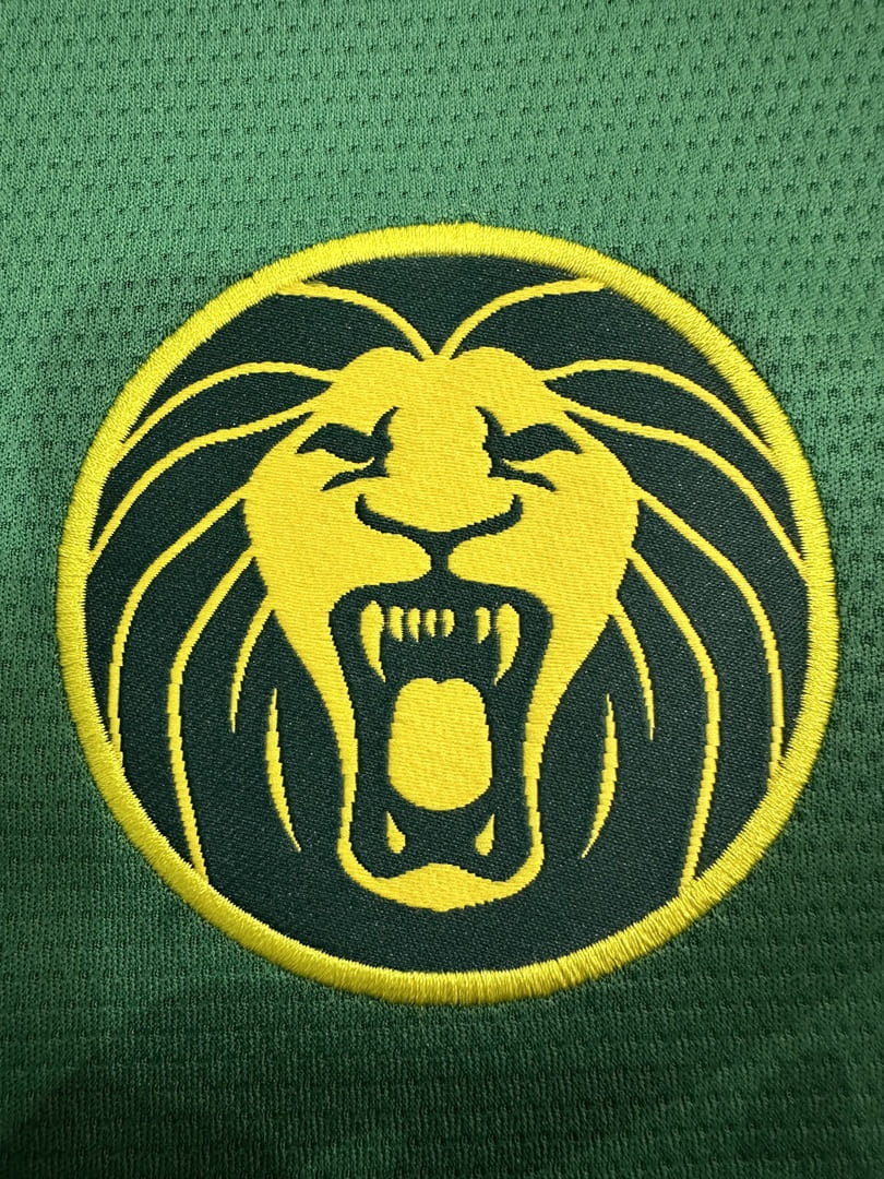 Cameroun 2025 Maillot Domicile