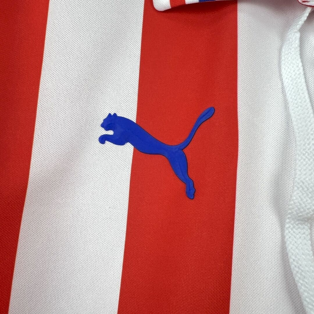 Chivas Guadalajara 16/17 Maillot Anniversaire Domicile