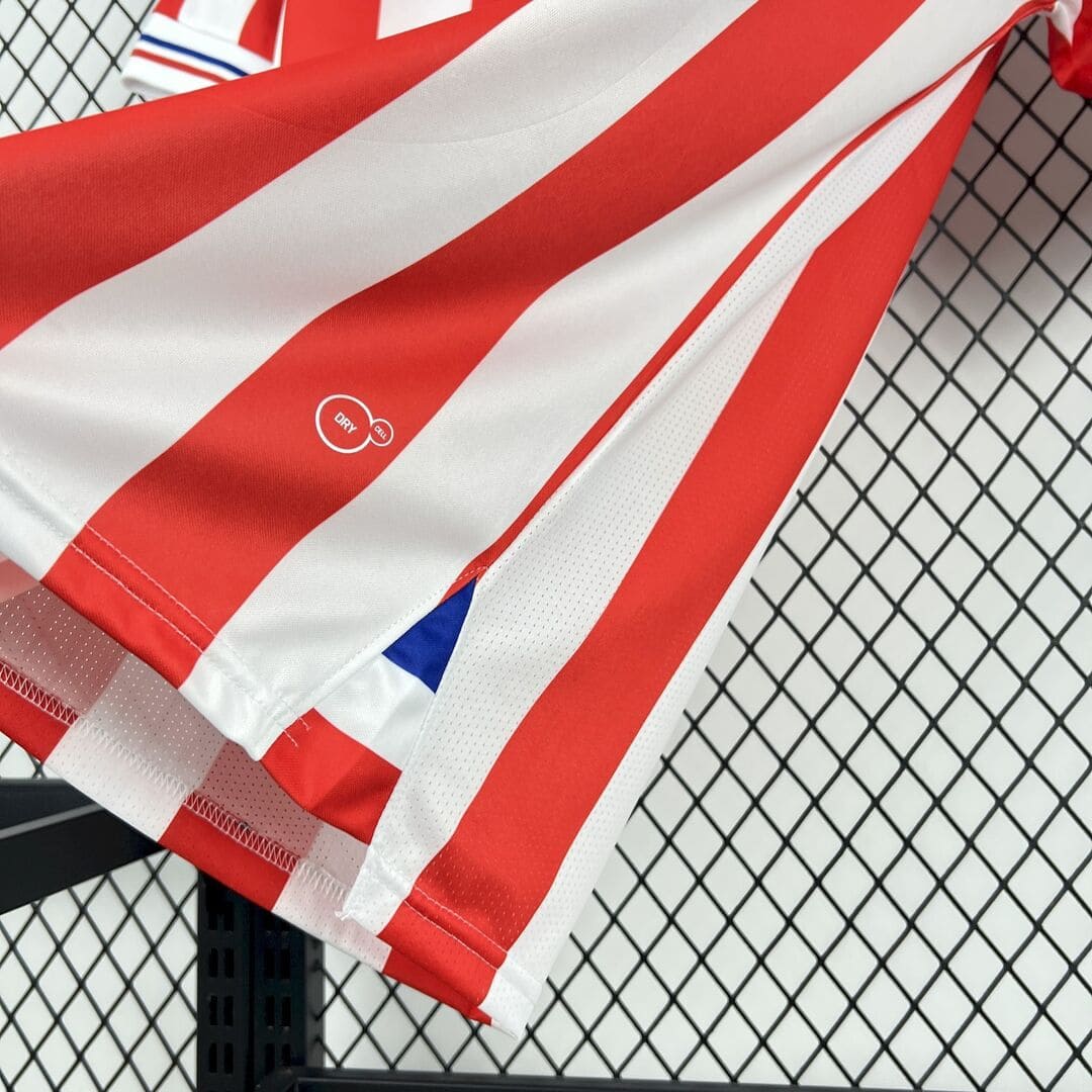 Chivas Guadalajara 16/17 Maillot Anniversaire Domicile