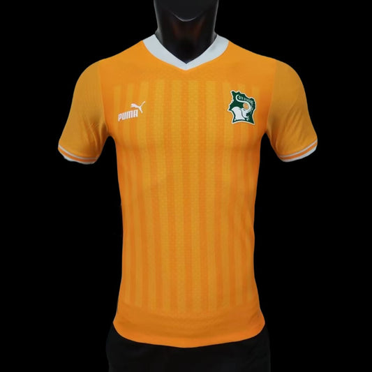 Côte d'Ivoire 2022 Maillot Domicile - Version Player
