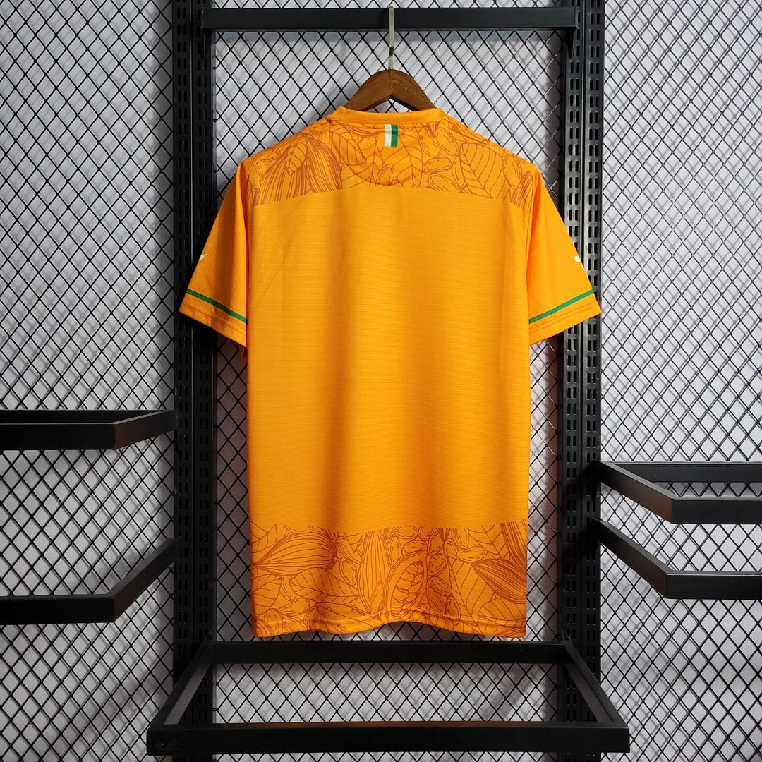 Côte d'Ivoire 2022 Maillot Concept Morrison Domicile