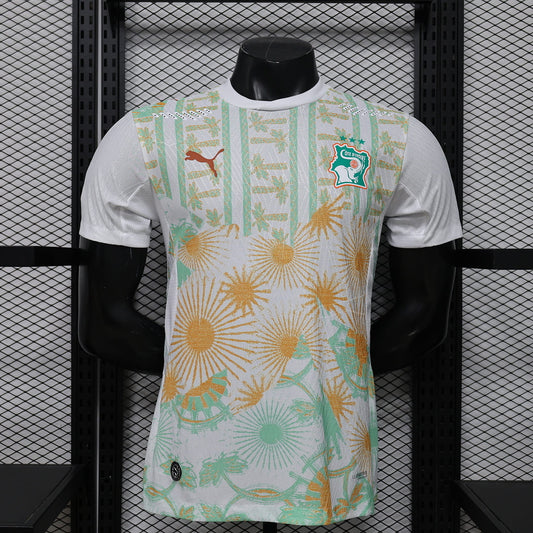 Côte d'Ivoire 2026 Maillot Extérieur - Version Player