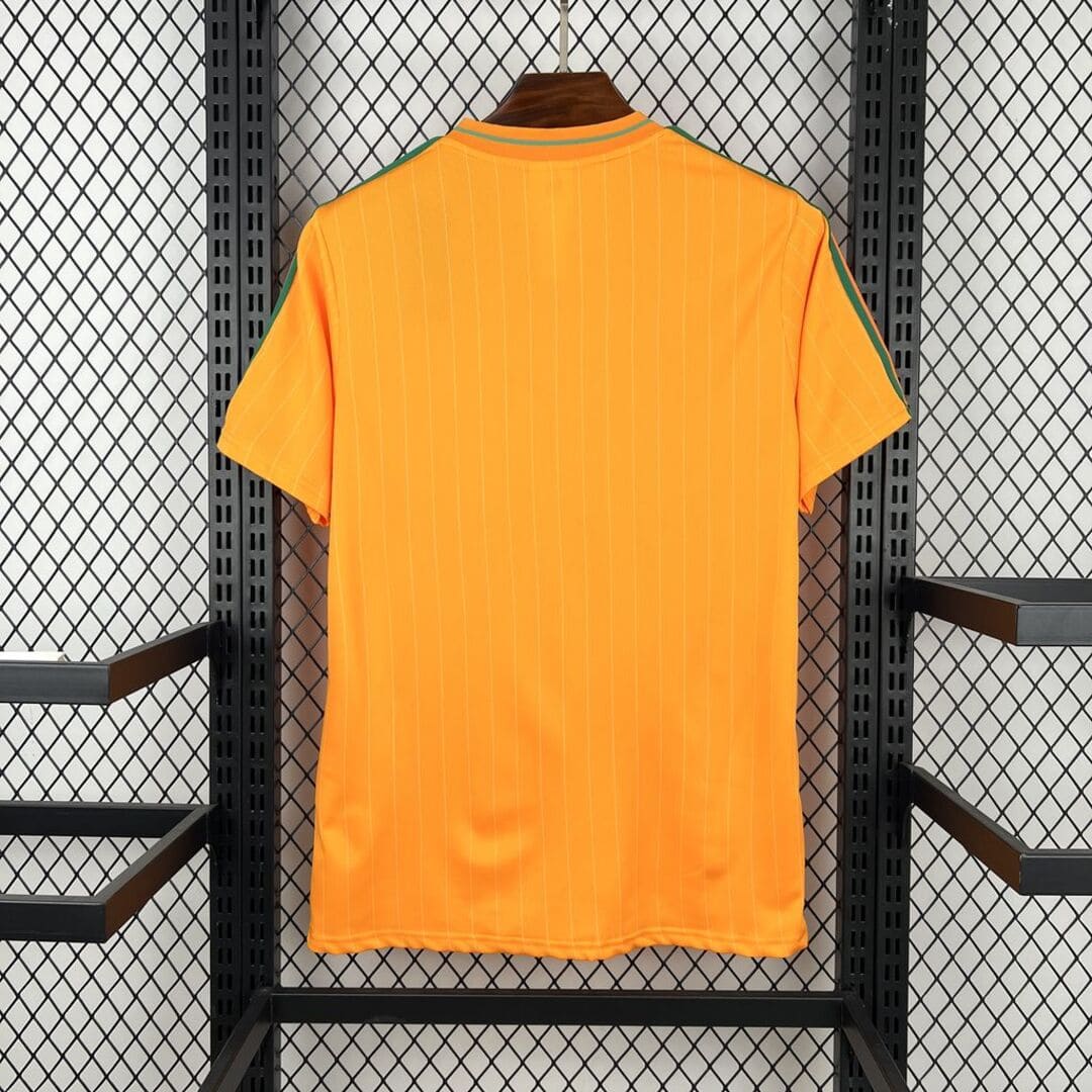 Côte d'Ivoire 2026 Maillot Icon