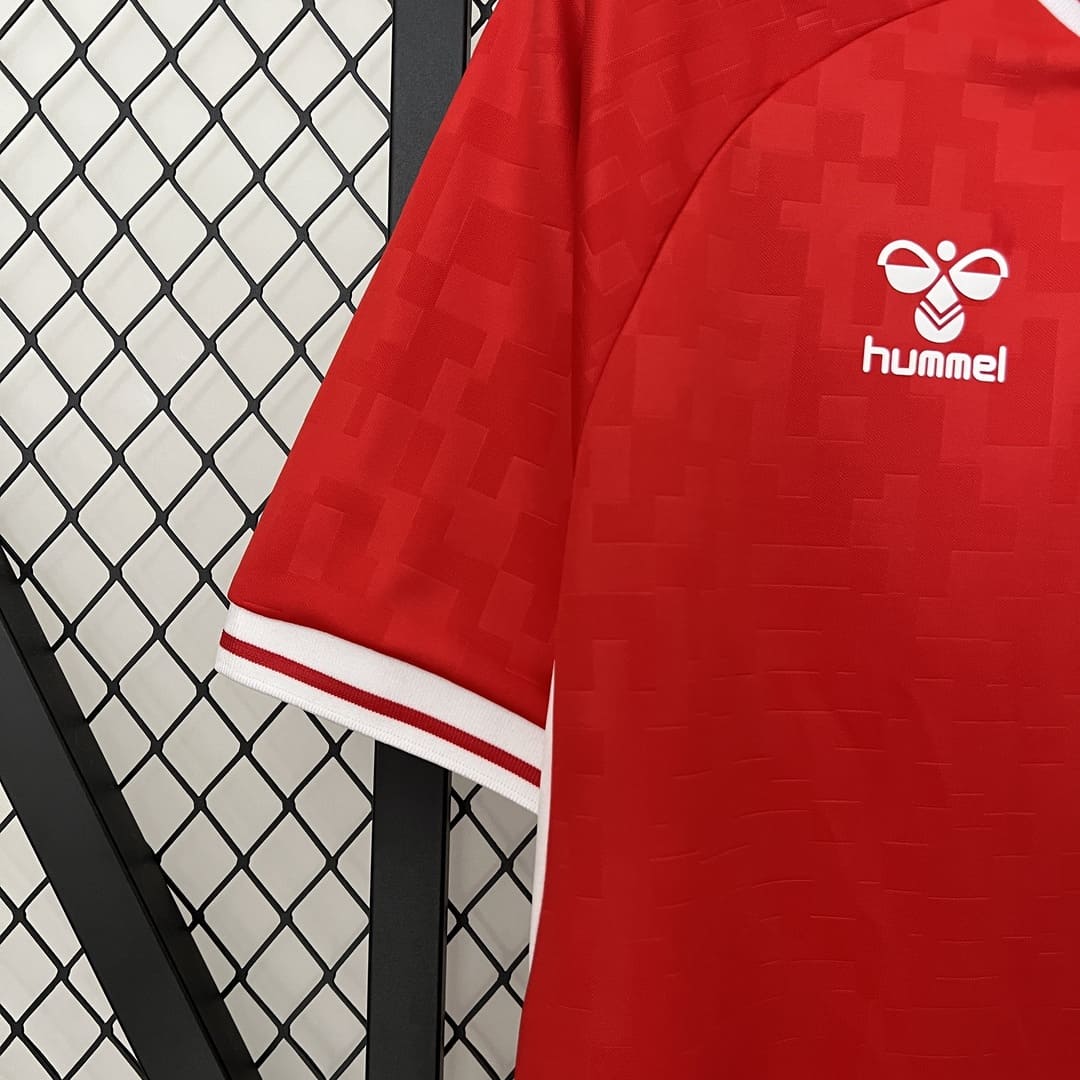 Danemark 2024 Maillot Domicile