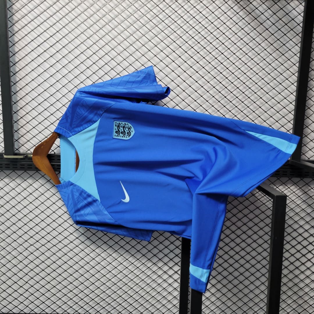 Angleterre 2022 Maillot Entrainement Bleu