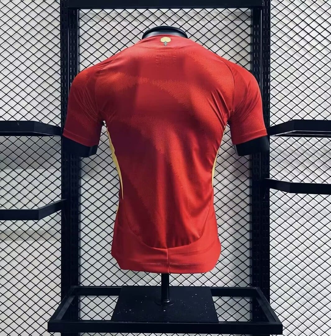 Espagne 2024 Maillot Domicile - Version Player