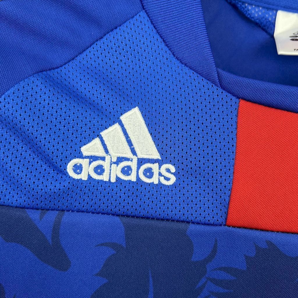 Japon 2010 Maillot Domicile