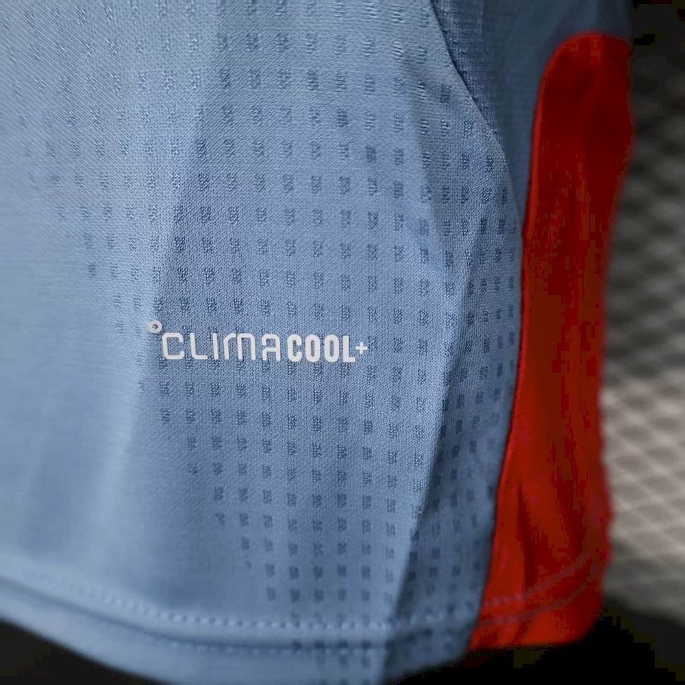 Japon 2026 Maillot Entrainement - Version Player