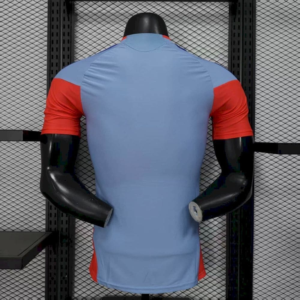 Japon 2026 Maillot Entrainement - Version Player