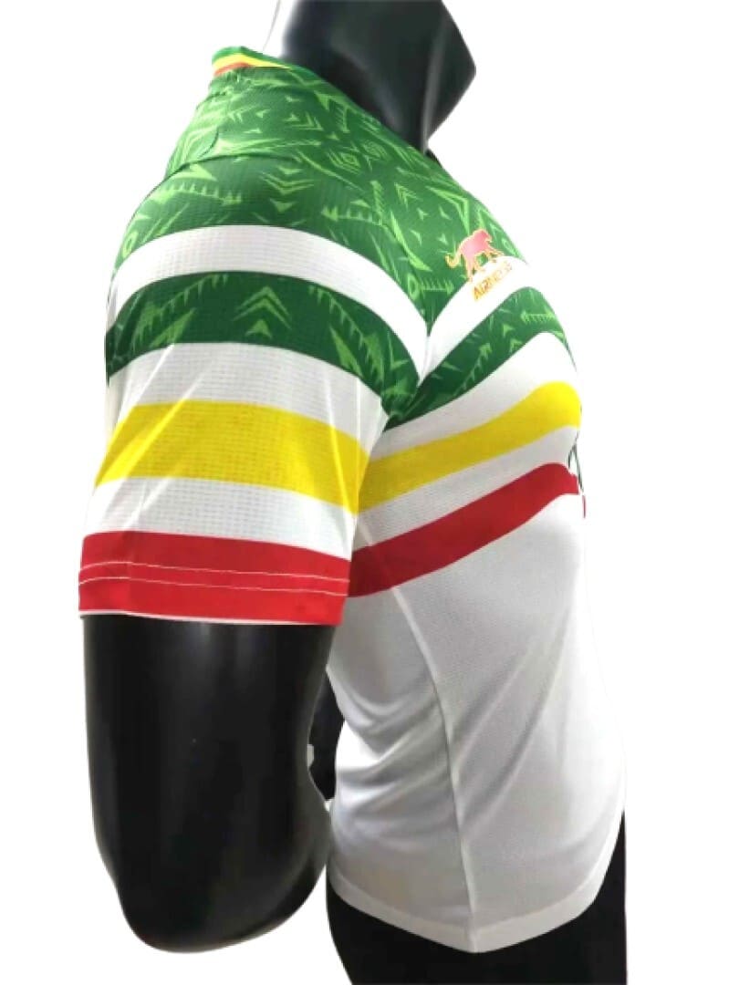 Mali 2022 Maillot Extérieur - Version Player