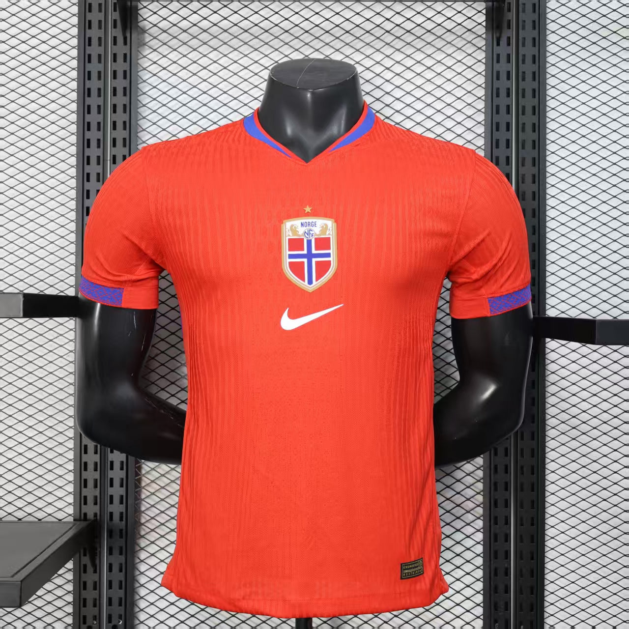 Norvège Féminines 2025 Maillot Domicile - Version Player