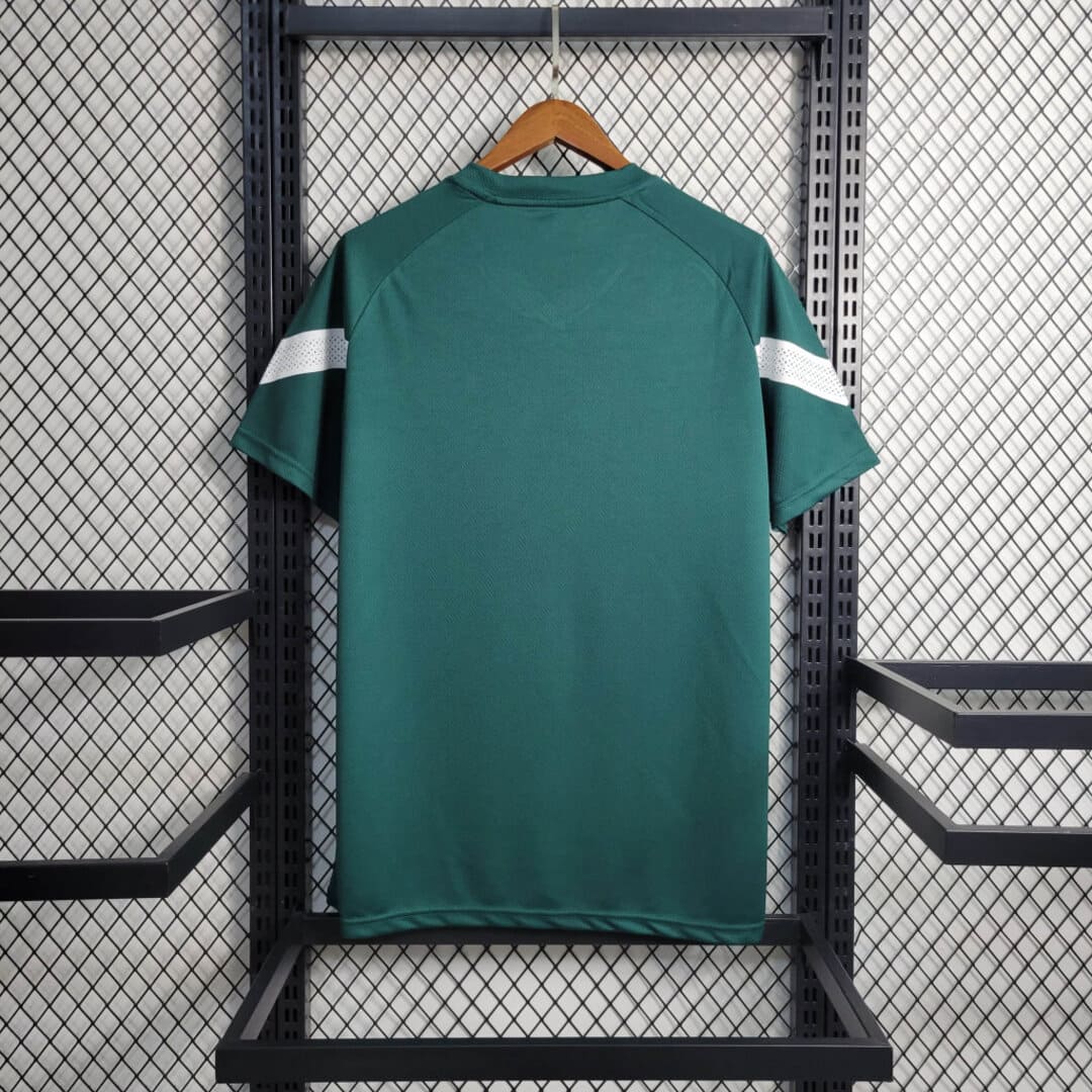 Palmeiras 2023 Maillot Entrainement Vert