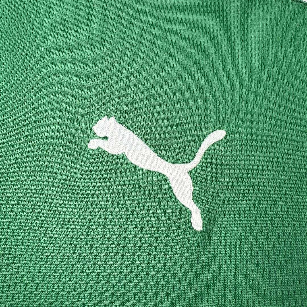 Palmeiras 2026 Maillot Domicile