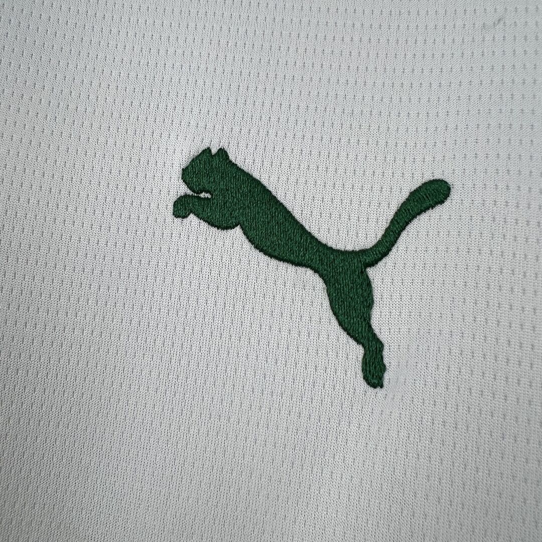 Palmeiras 2026 Maillot Extérieur