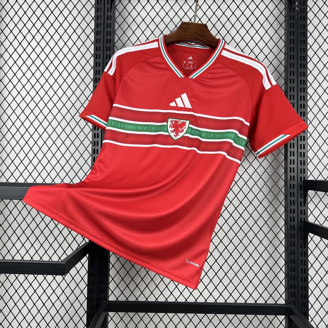 Pays de Galles 2026 Maillot Domicile
