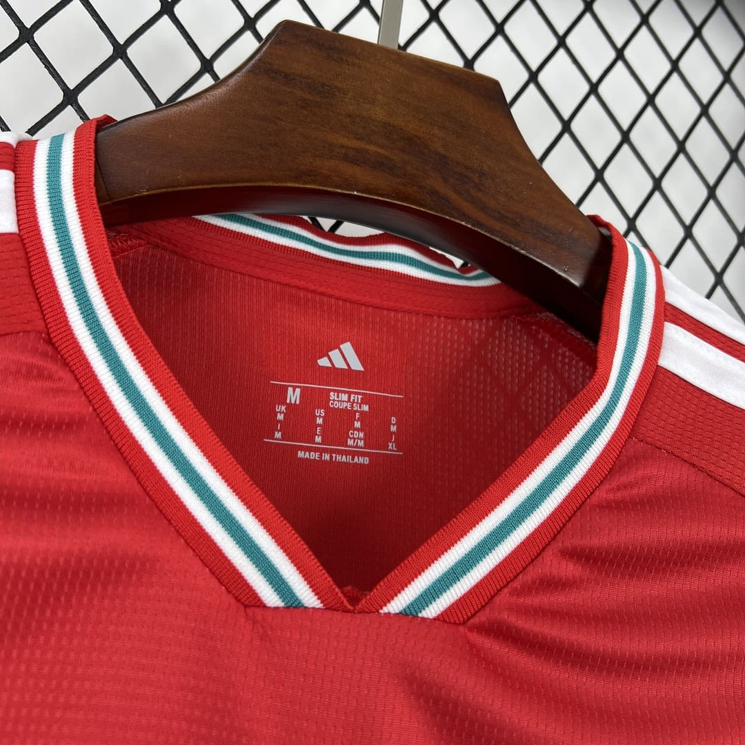 Pays de Galles 2026 Maillot Domicile
