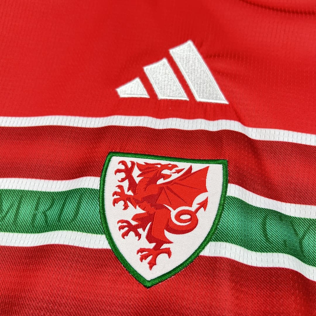 Pays de Galles 2026 Maillot Domicile