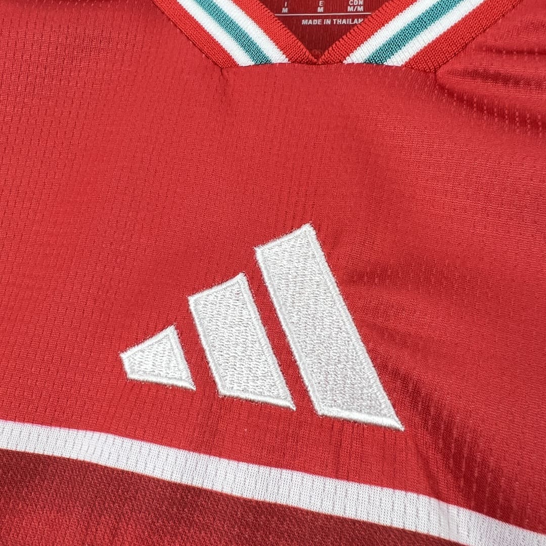 Pays de Galles 2026 Maillot Domicile