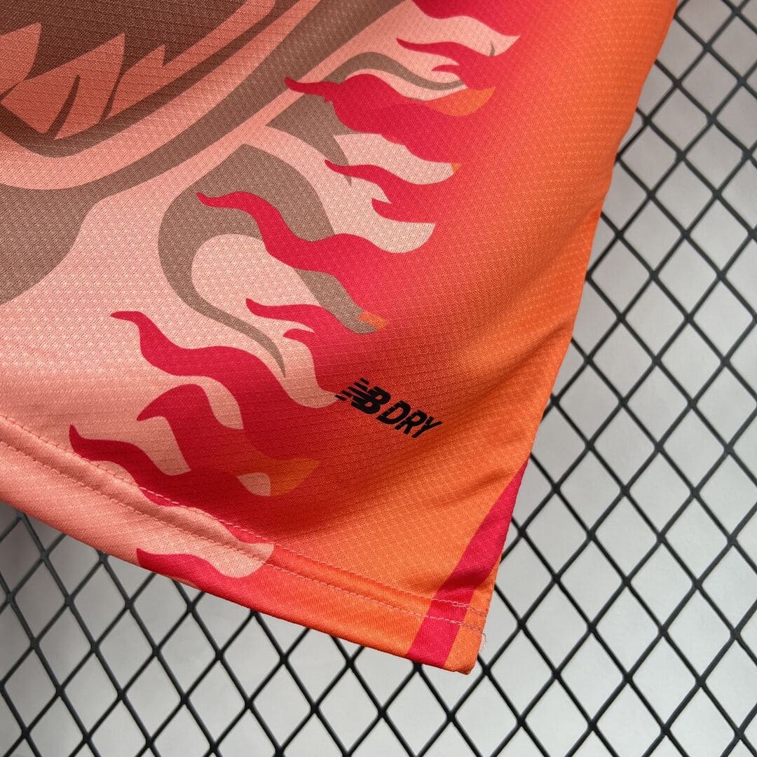Porto 2026 Maillot Dragão