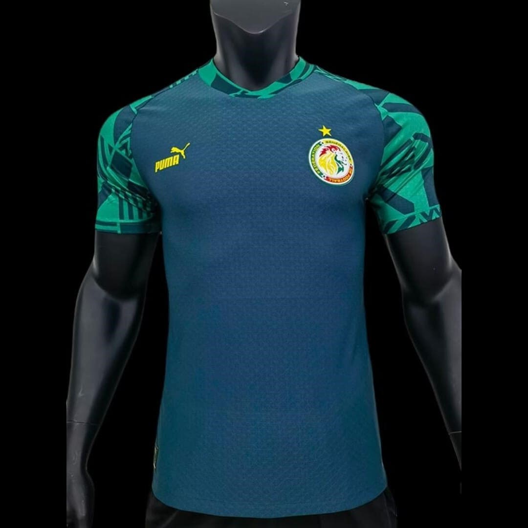 Sénégal 2022 Maillot Échauffement Vert - Version Player