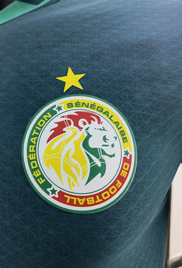 Sénégal 2022 Maillot Échauffement Vert - Version Player