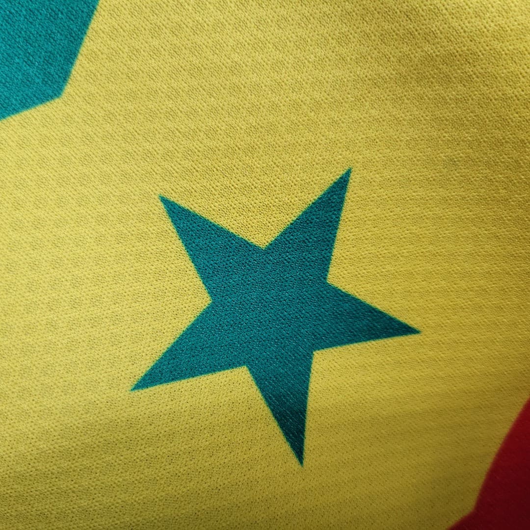 Sénégal 2022 Maillot Extérieur