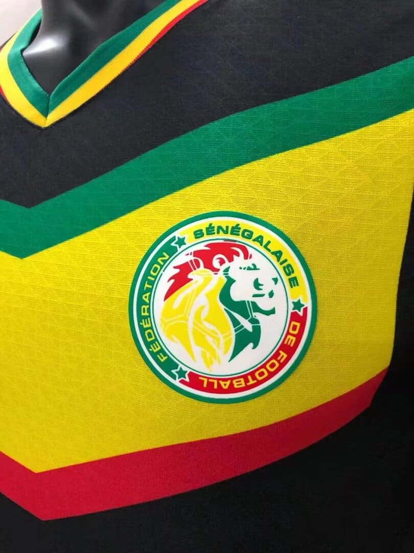 Sénégal 2022 Maillot Extérieur - Version Player