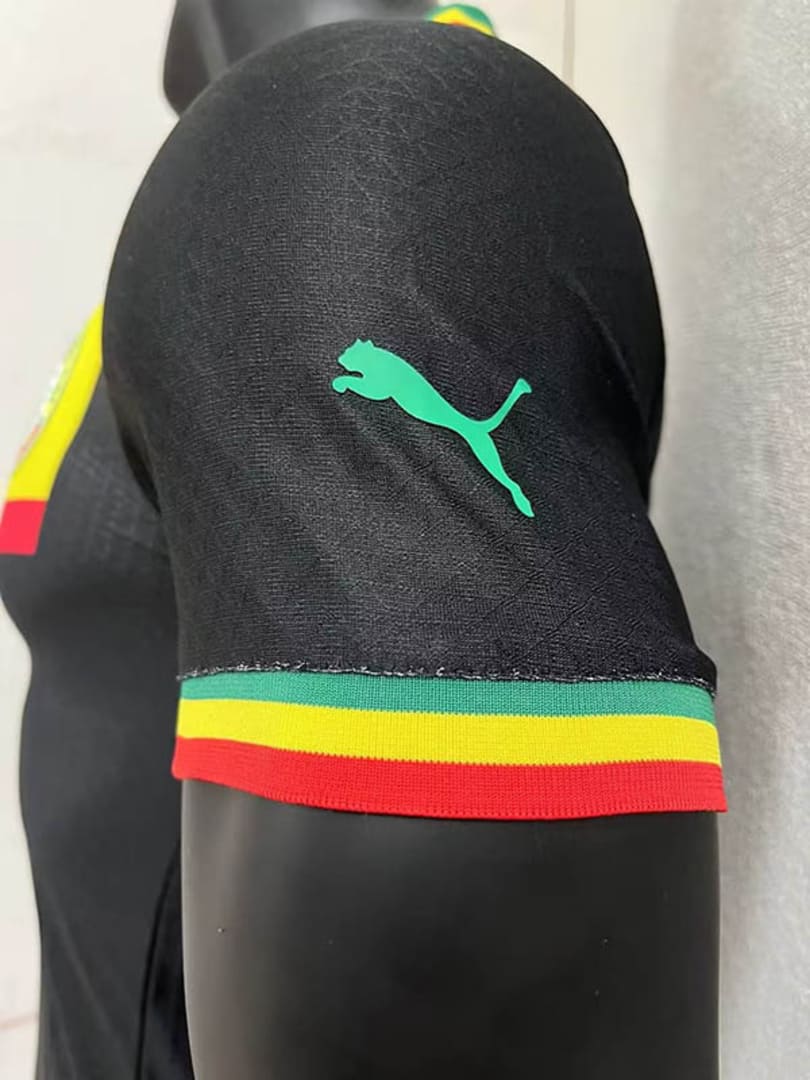 Sénégal 2022 Maillot Extérieur - Version Player