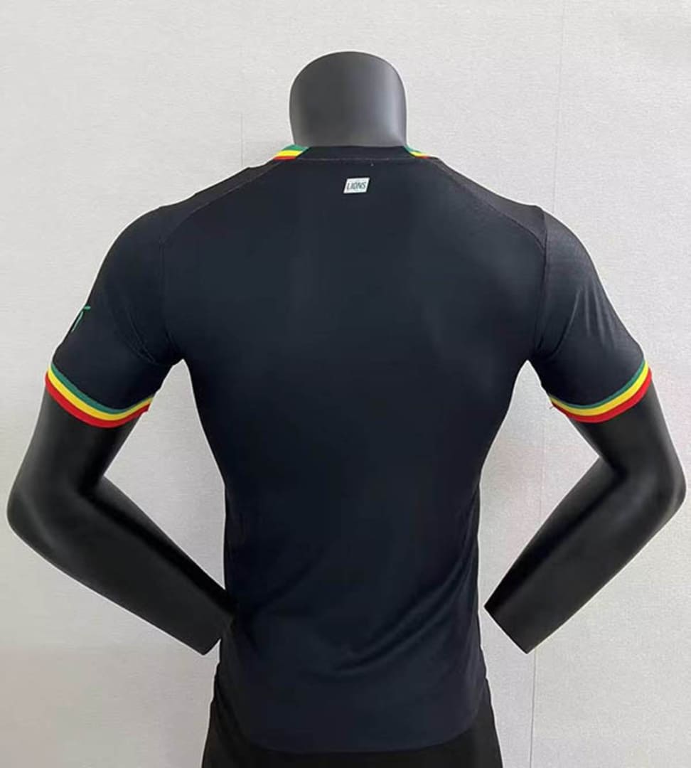 Sénégal 2022 Maillot Extérieur - Version Player