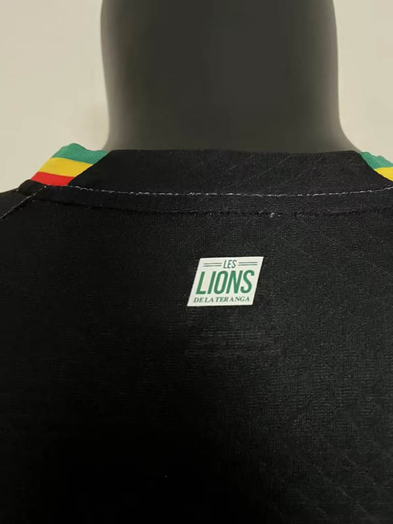 Sénégal 2022 Maillot Extérieur - Version Player