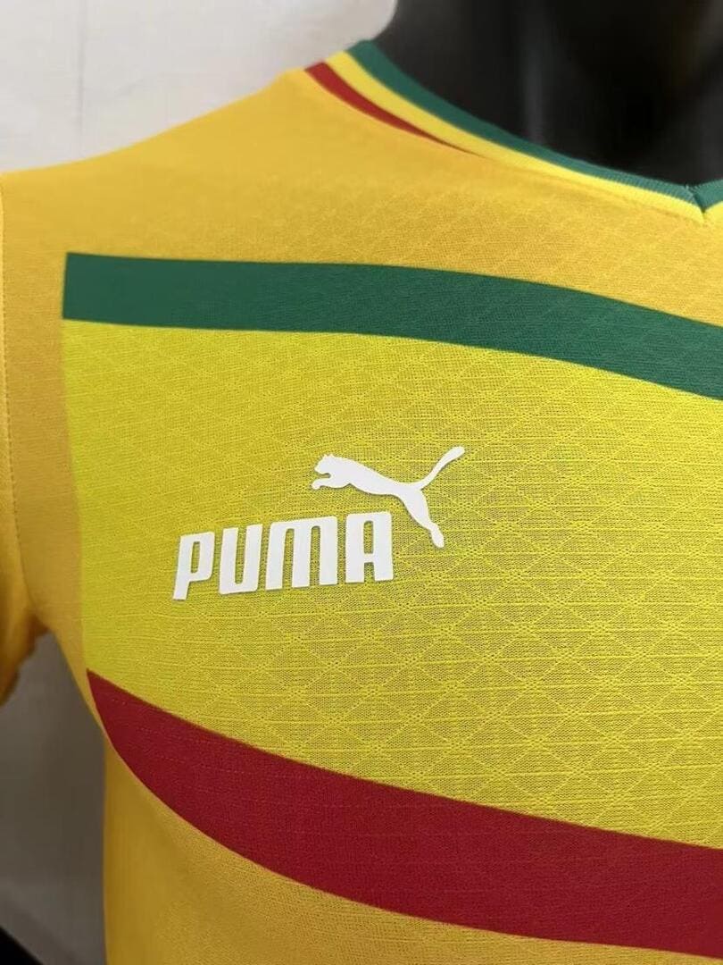 Sénégal 2022 Maillot Concept Jaune - Version Player