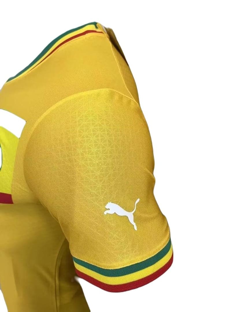 Sénégal 2022 Maillot Concept Jaune - Version Player