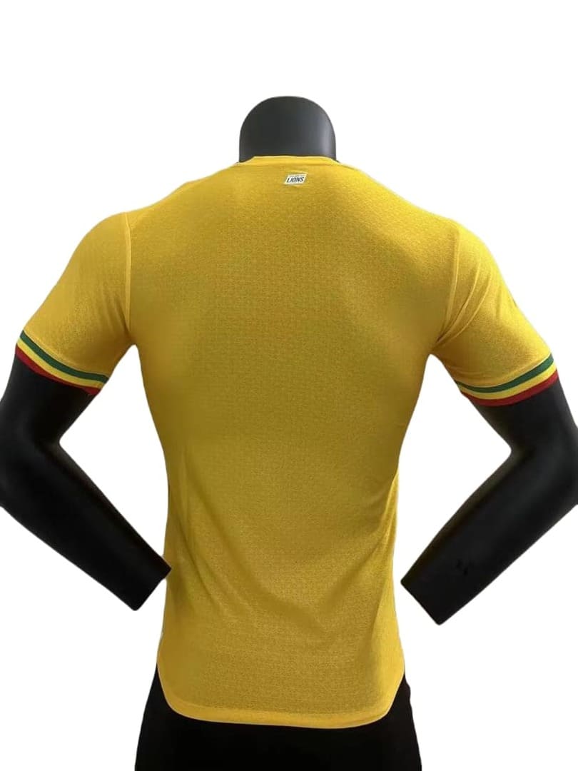 Sénégal 2022 Maillot Concept Jaune - Version Player