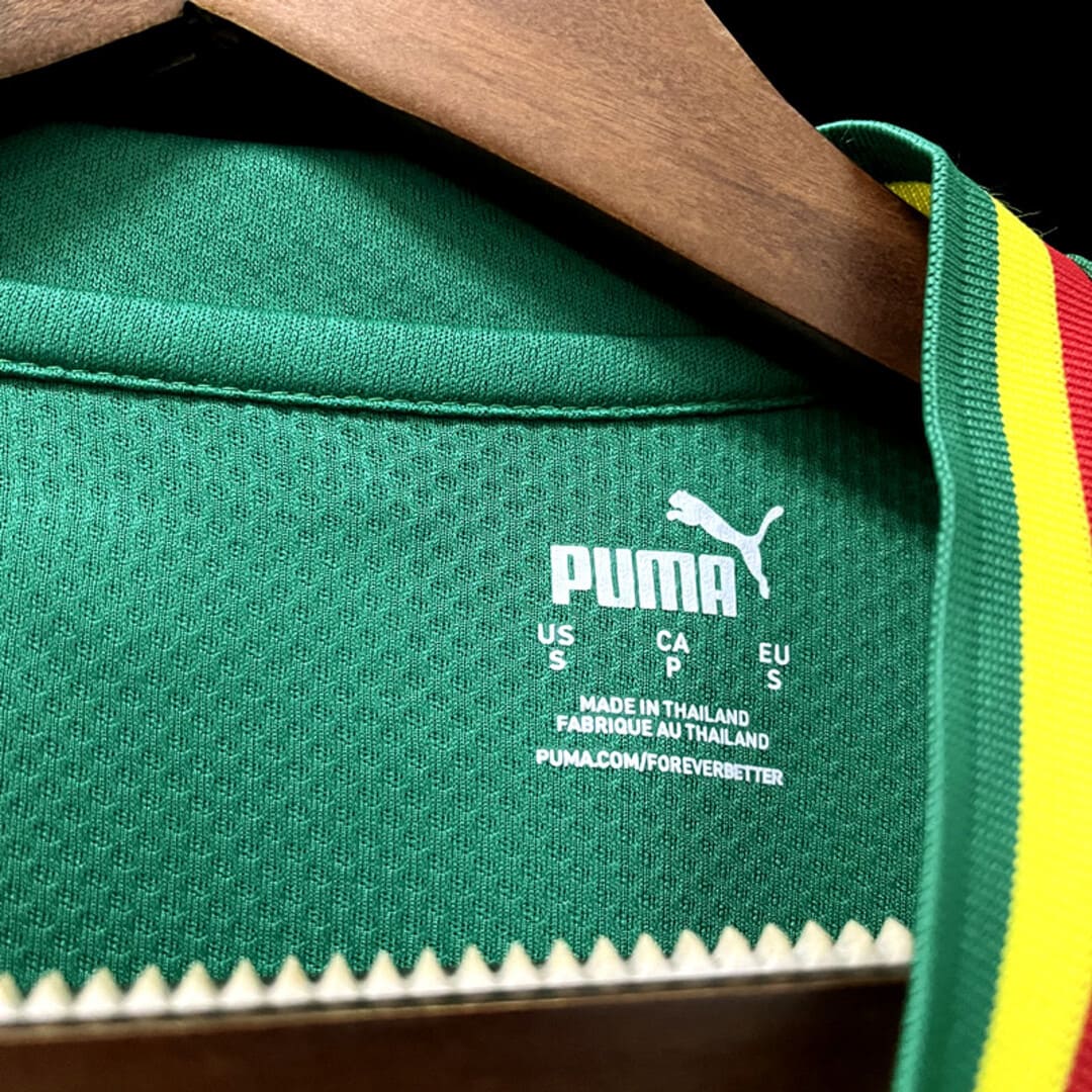 Sénégal 2022 Maillot Extérieur Vert