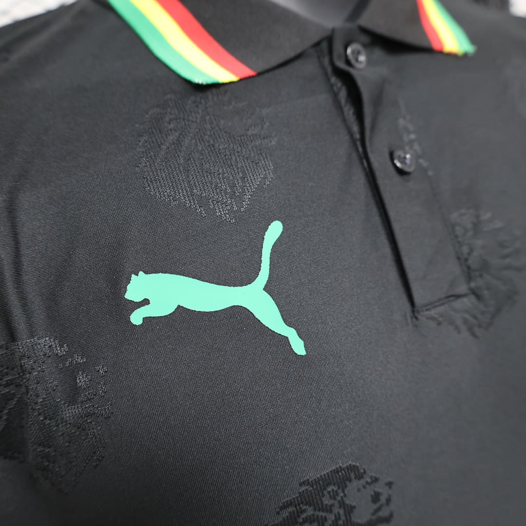 Sénégal 2025 Maillot Spécial Noir - Version Player