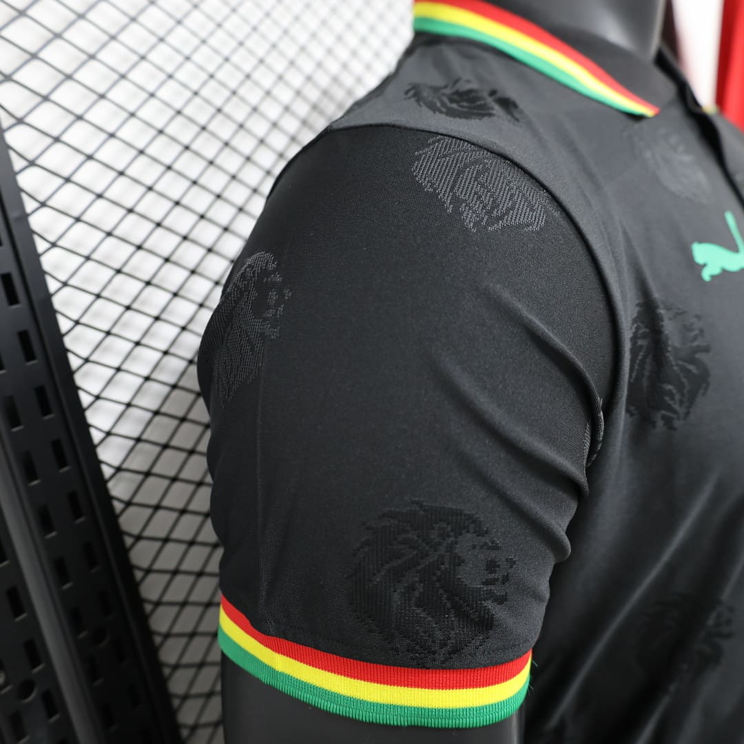 Sénégal 2025 Maillot Spécial Noir - Version Player