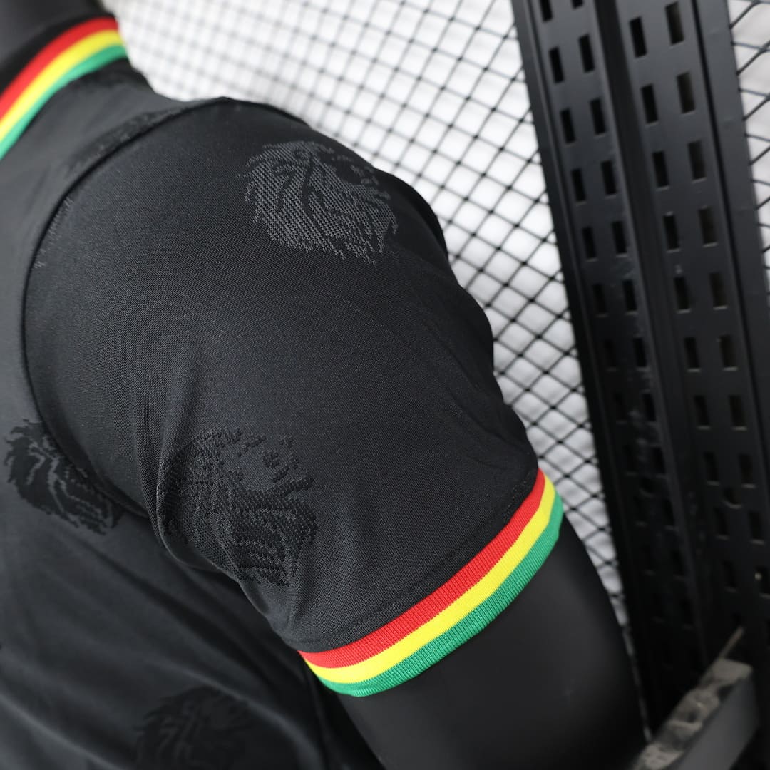 Sénégal 2025 Maillot Spécial Noir - Version Player